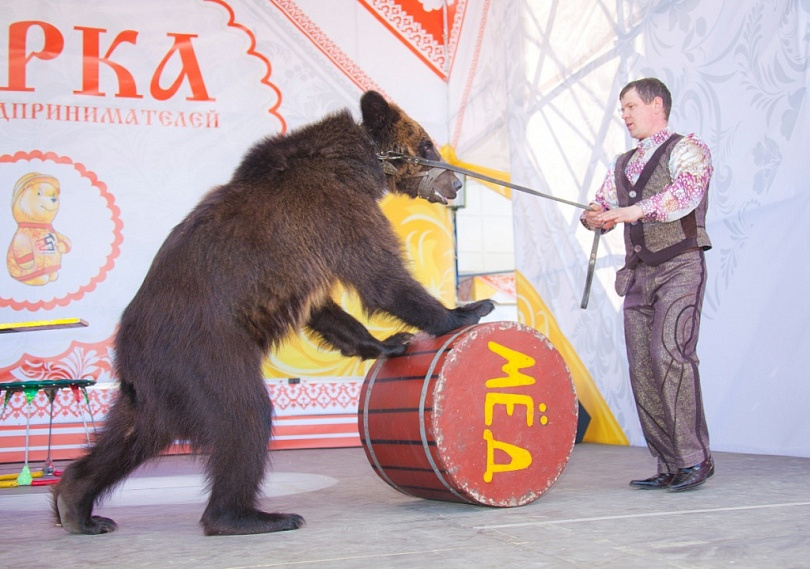 Слет в Полазне