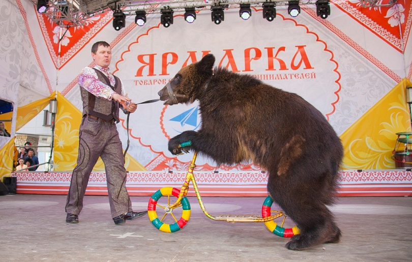 Слет в Полазне
